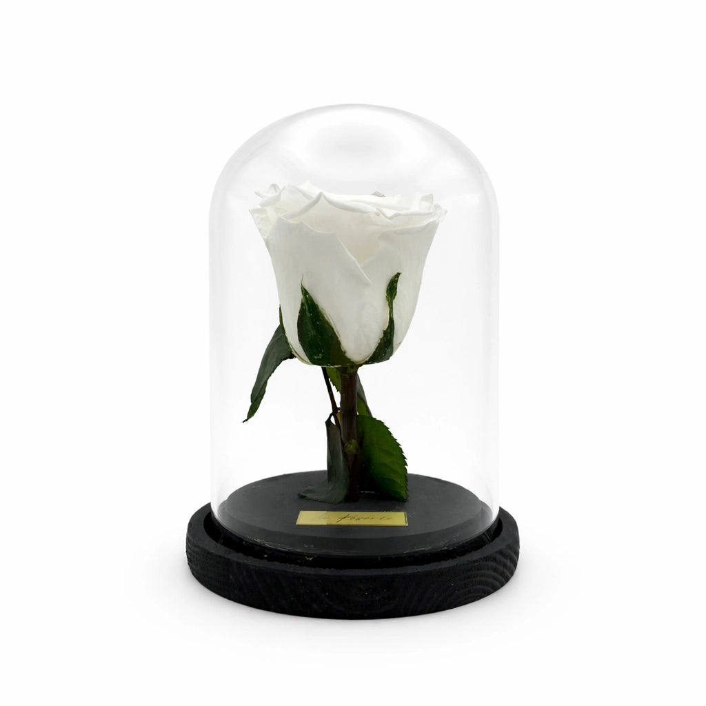 fehér örök rózsa üvegben