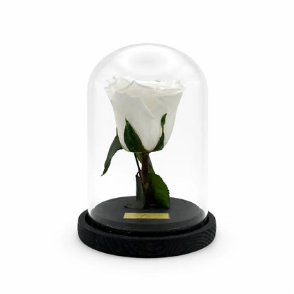 fehér örök rózsa üvegben