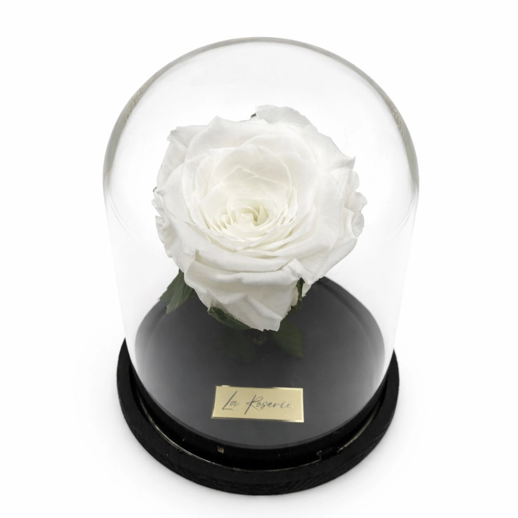 fehér örök rózsa üvegben