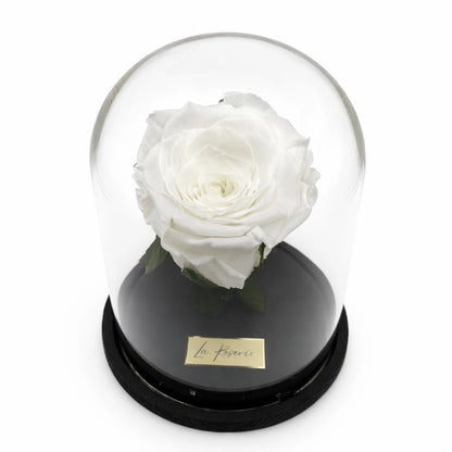 fehér örök rózsa üvegben