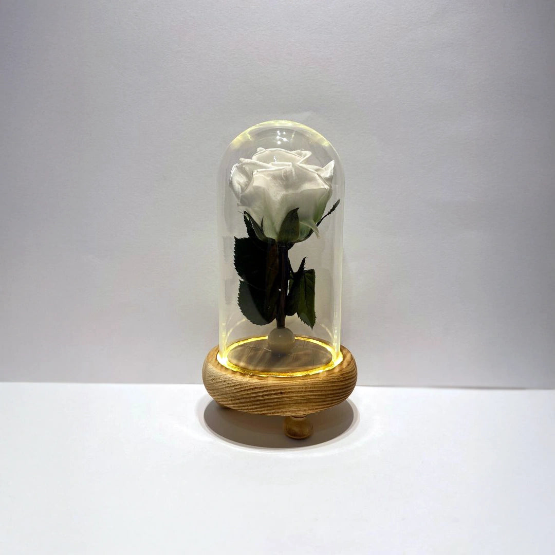 fehér örökrózsa üvegben