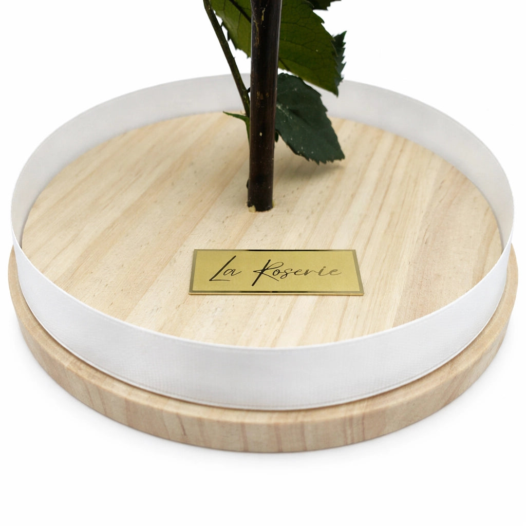 La Roserie üvegburás örökrózsa