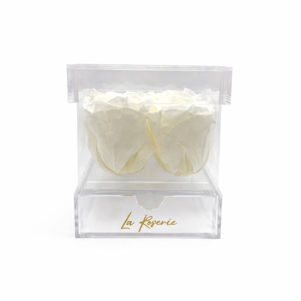 fehér örök rózsa