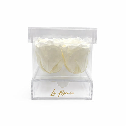 fehér örök rózsa