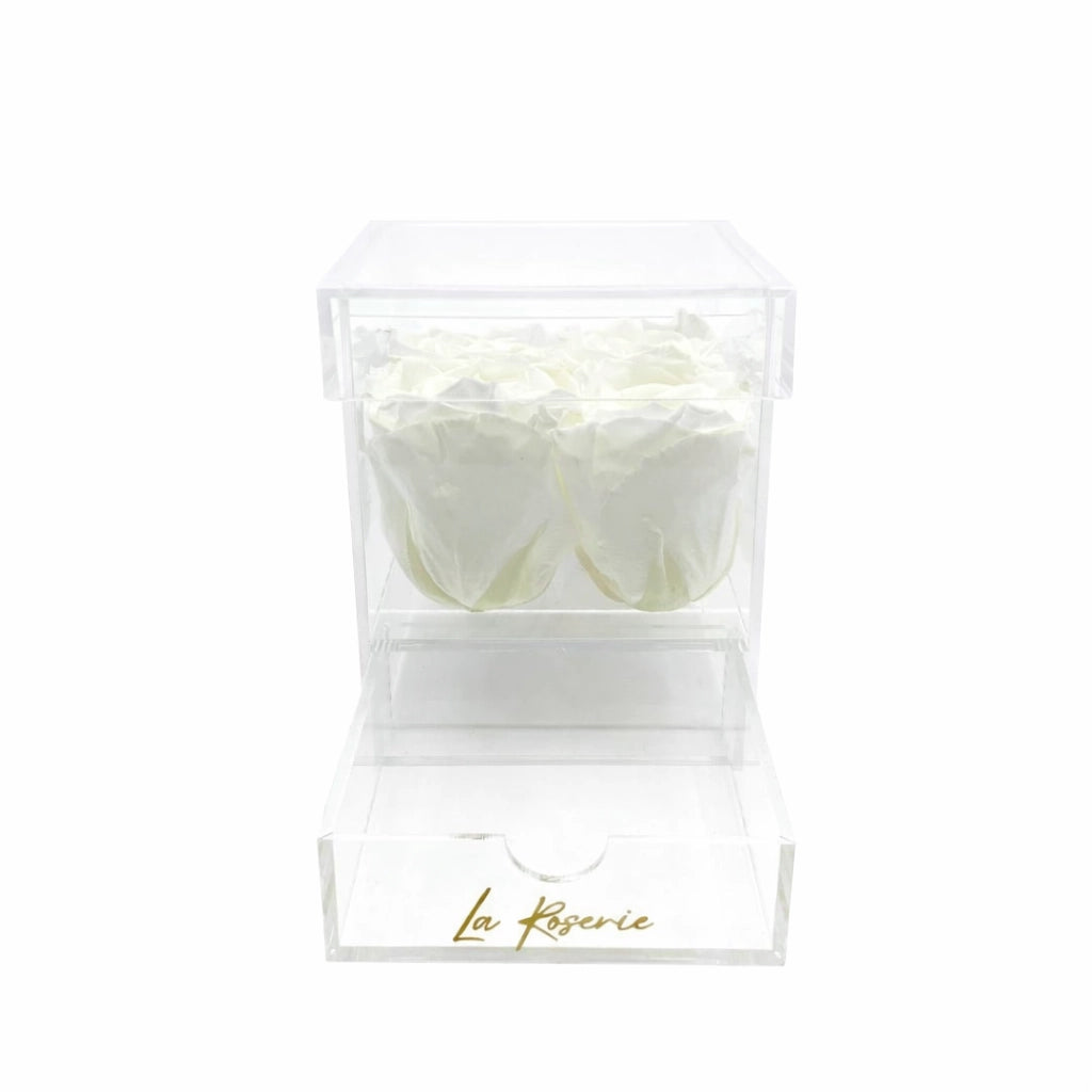 fehér örök rózsa