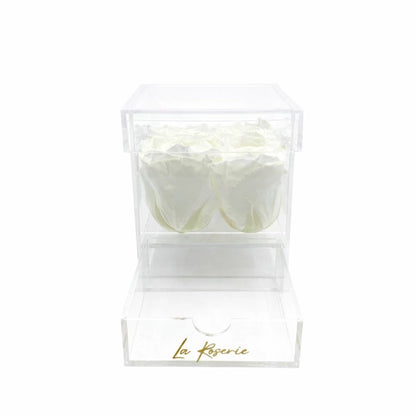 fehér örök rózsa