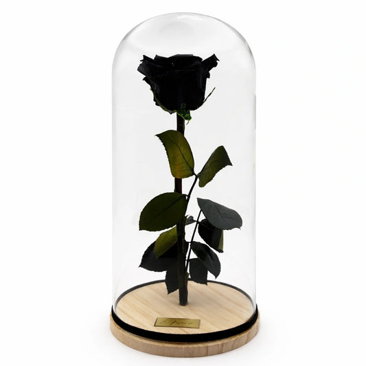 fekete örök rózsa üvegburában ecuadori