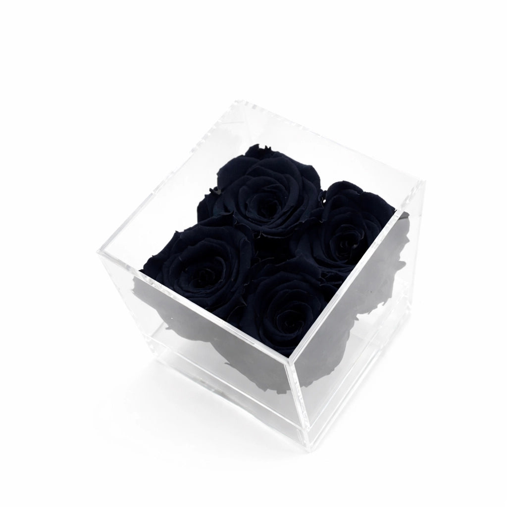 fekete örök rózsa