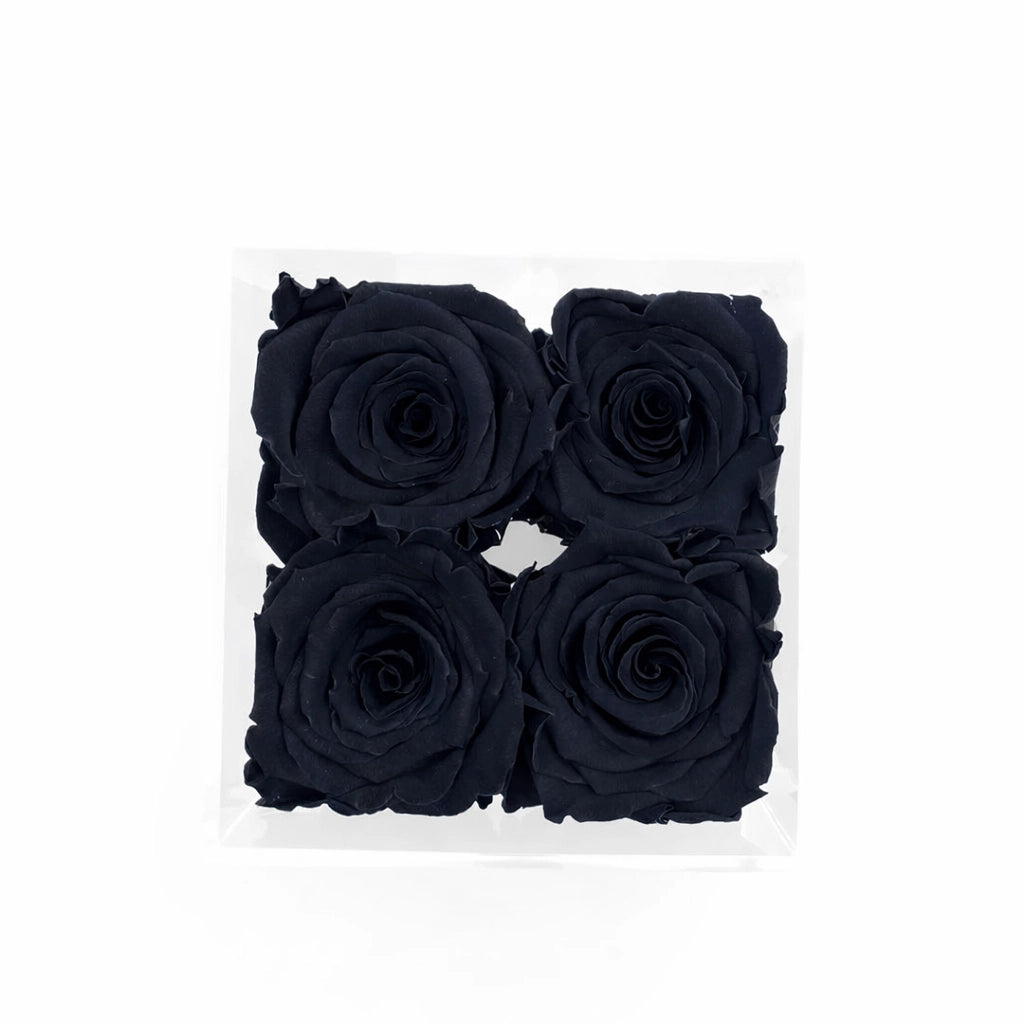 fekete örök rózsa