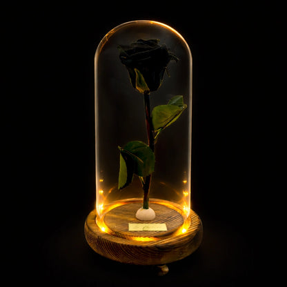 fekete örökrózsa üvegburában LED világítással