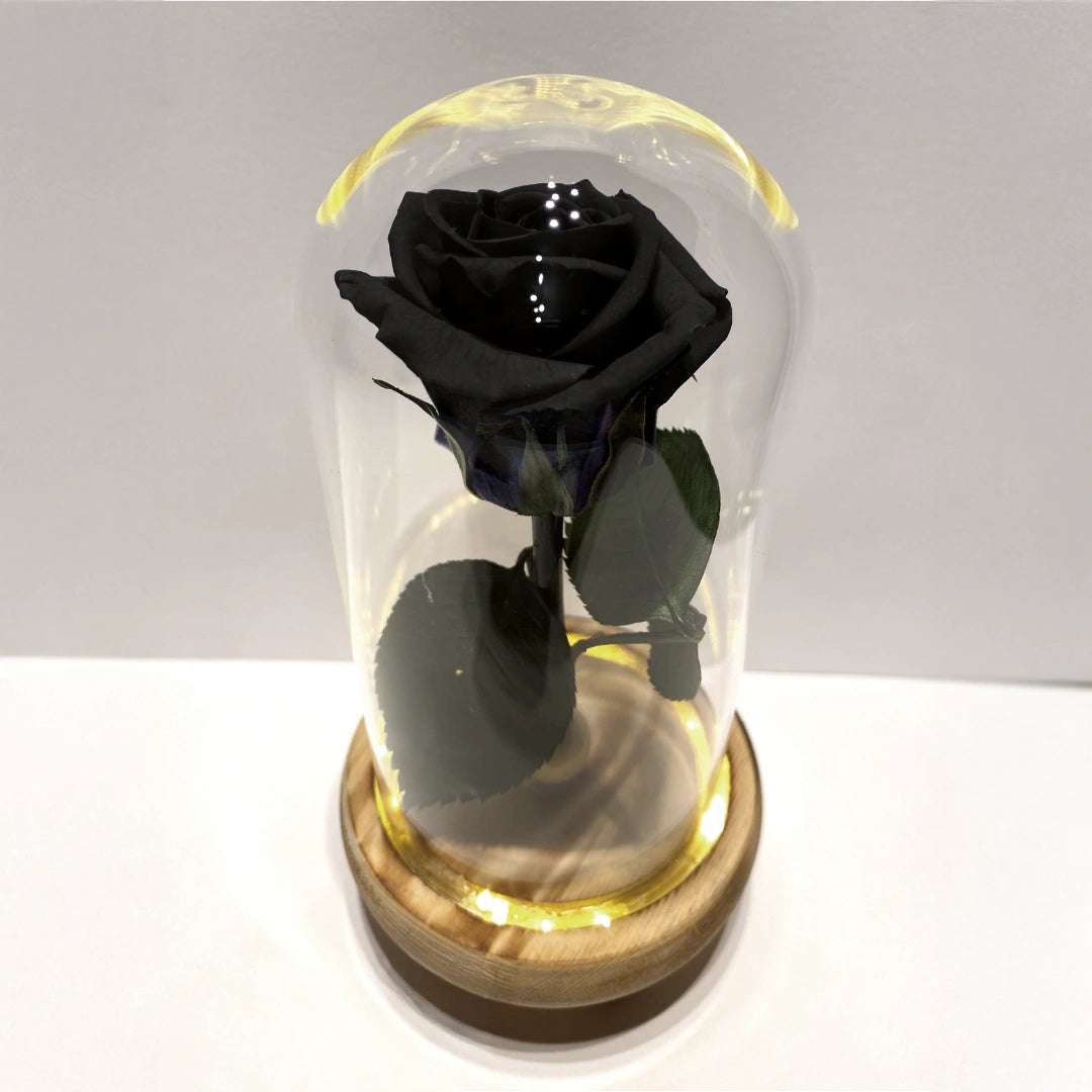 fekete örök rózsa