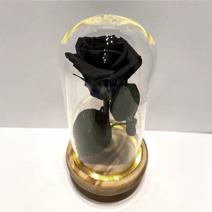 fekete örök rózsa