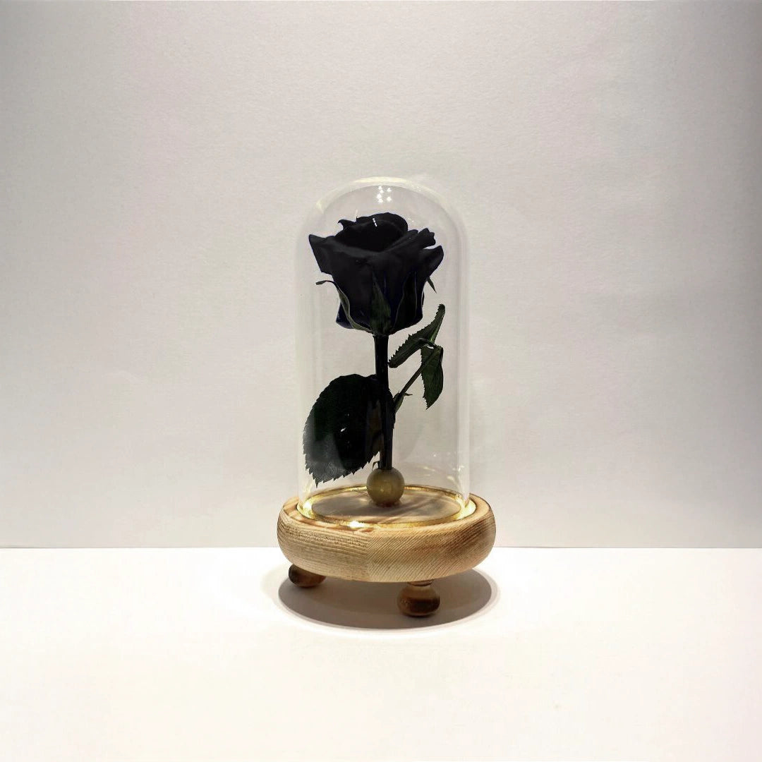 fekete örökrózsa üvegben