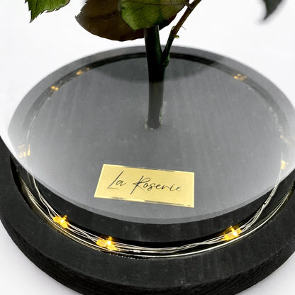 fekete örök rózsa üvegben, LED világítással