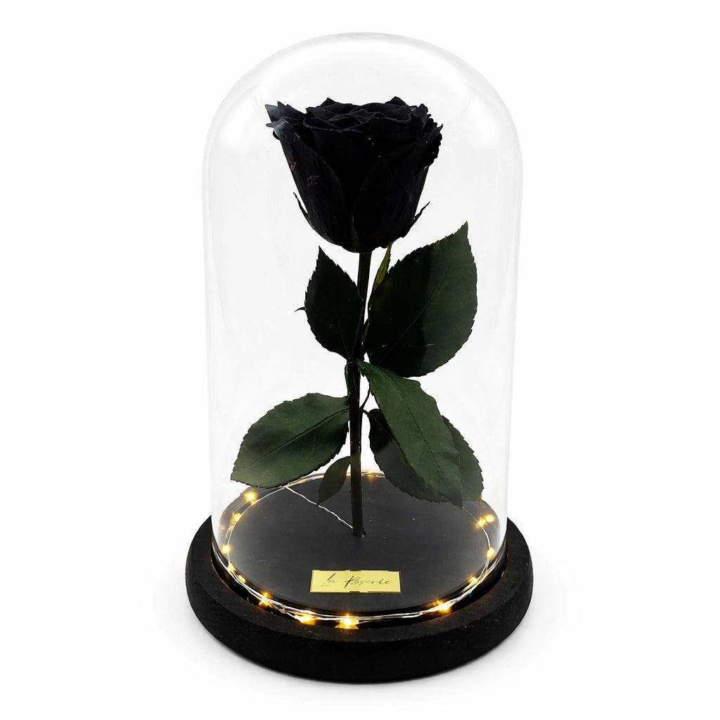 fekete örök rózsa üvegben