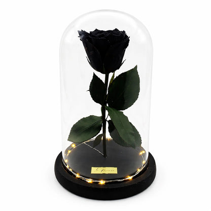 fekete örök rózsa üvegben