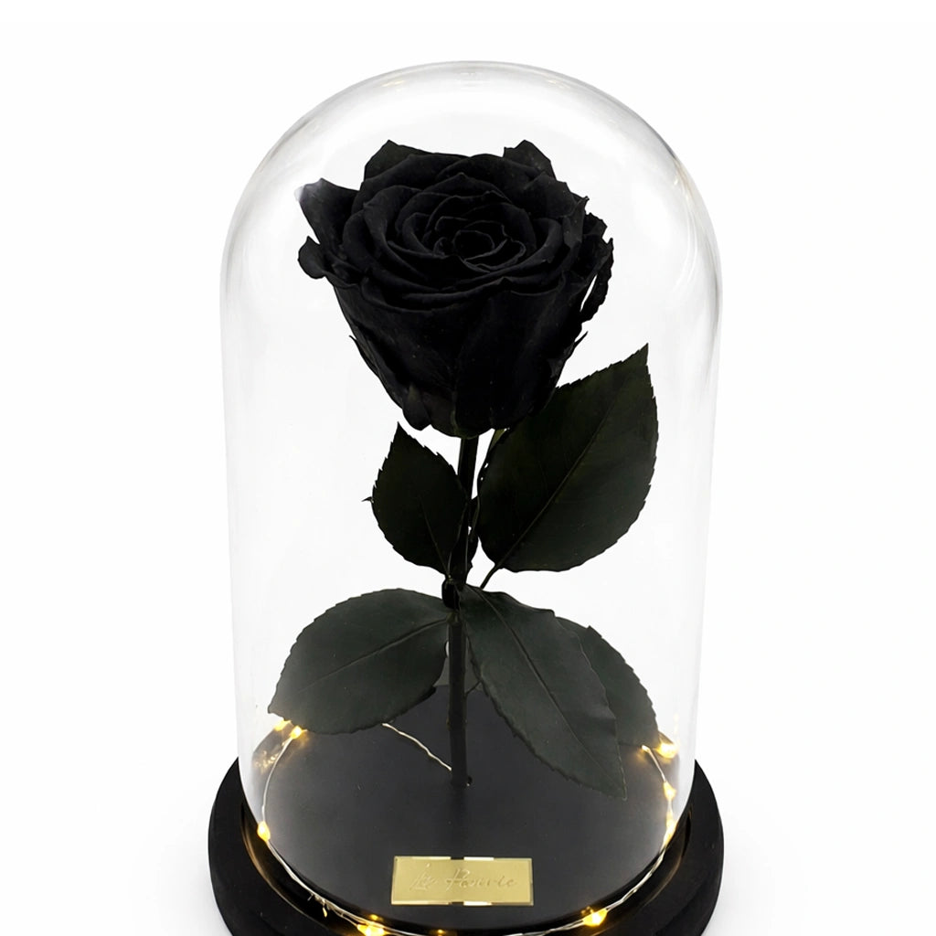 fekete örök rózsa üvegben