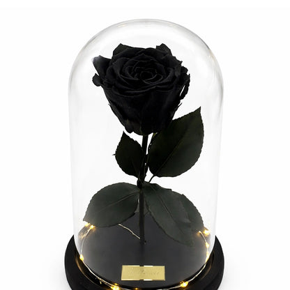 fekete örök rózsa üvegben
