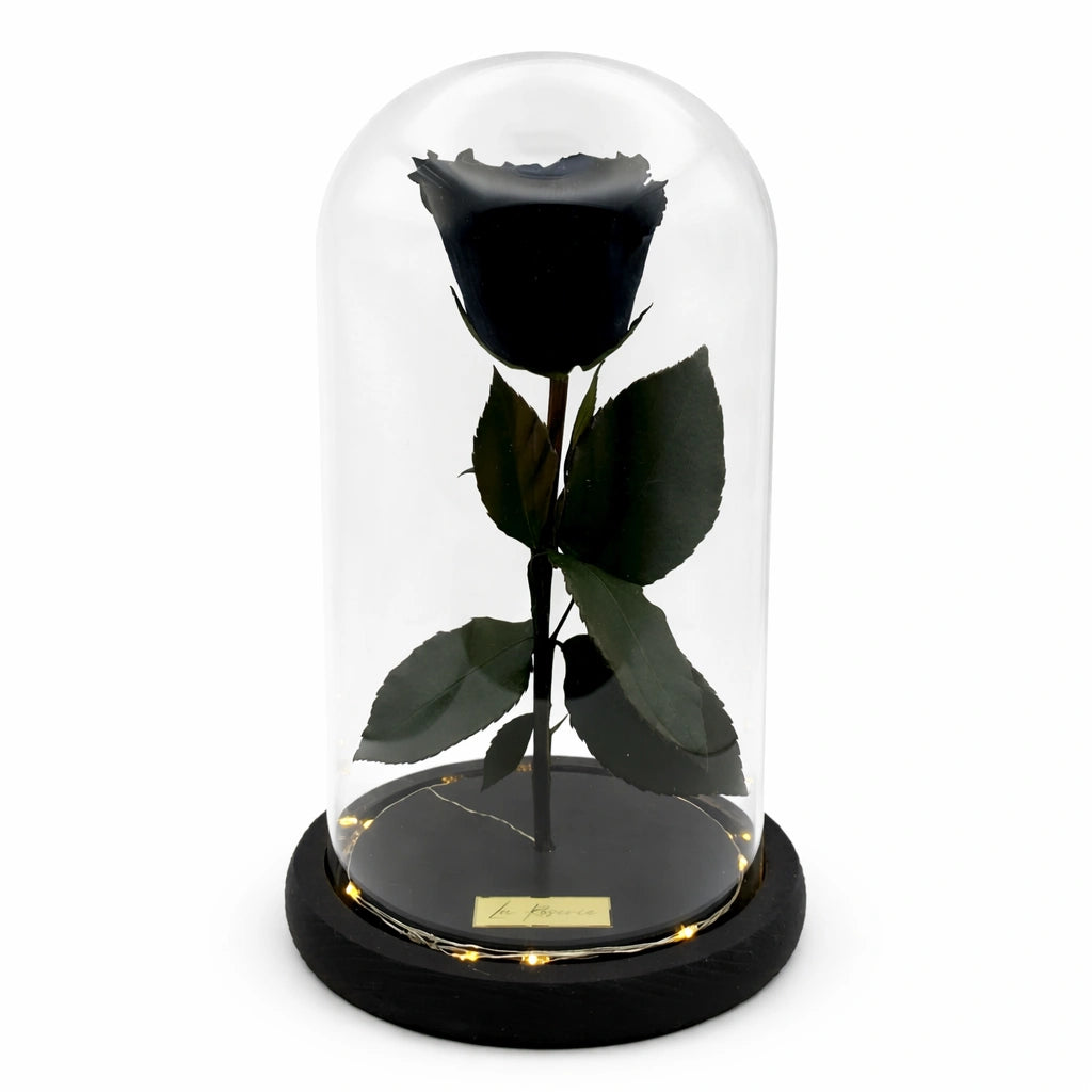 fekete örökrózsa üvegburában