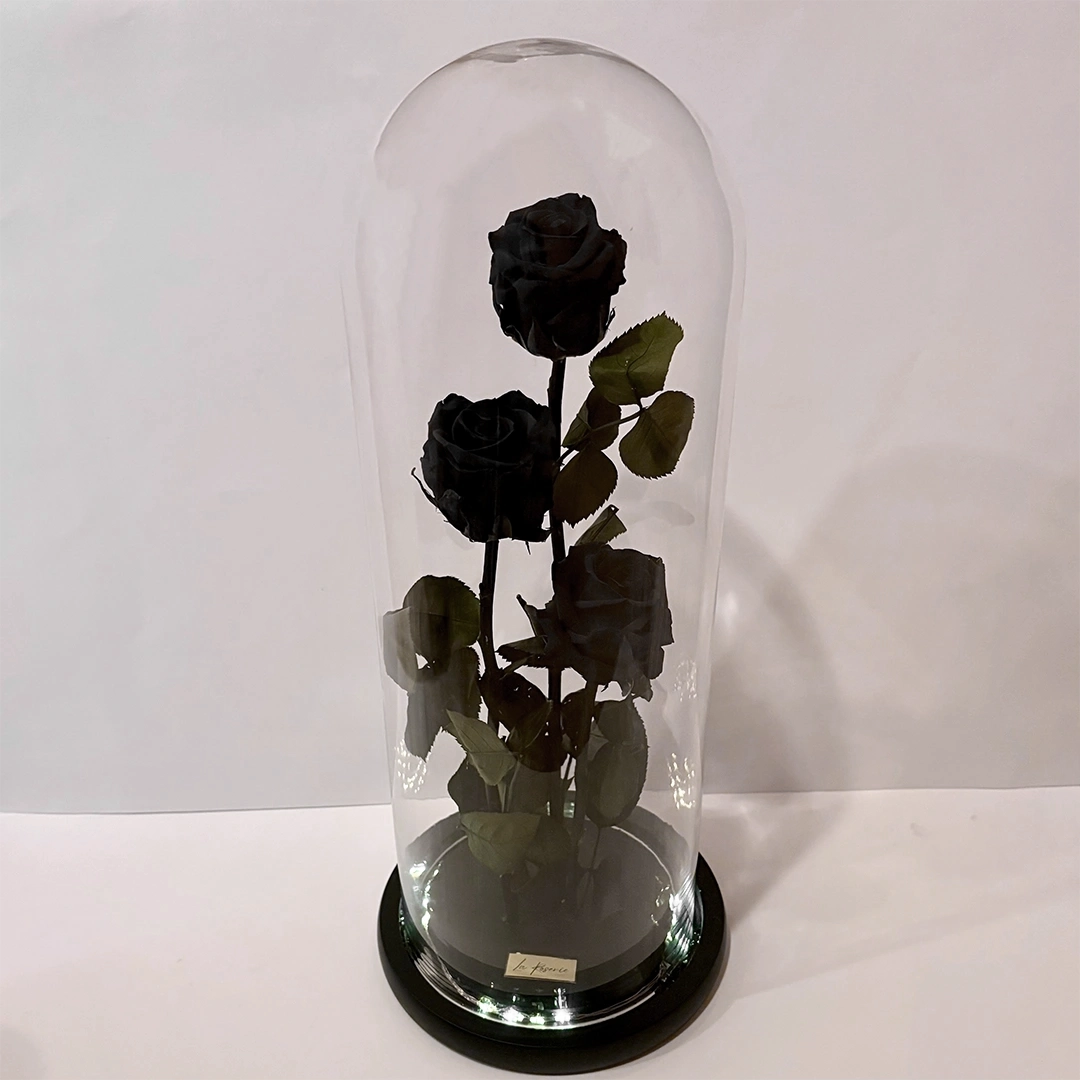 három óriás fekete örökrózsa üvegburában