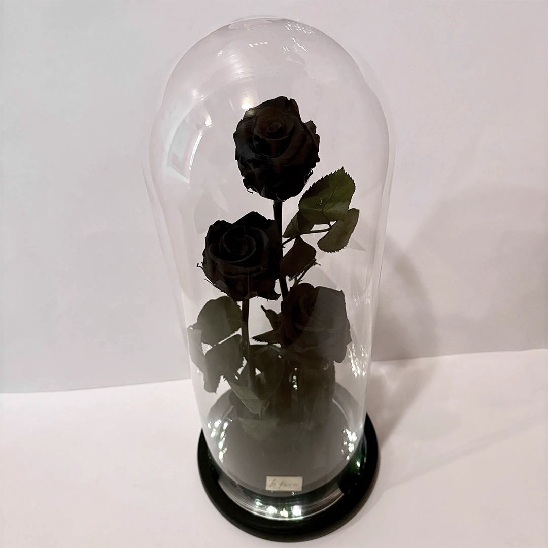 három óriás fekete örökrózsa üvegburában
