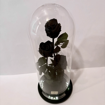 három óriás fekete örökrózsa üvegburában