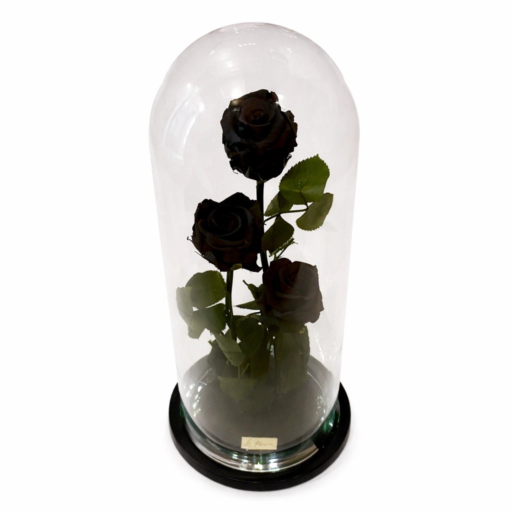 három óriás fekete örökrózsa üvegburában