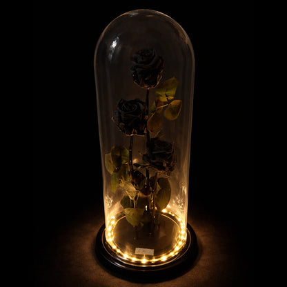 fekete örökrózsa led világítássaé üvegben