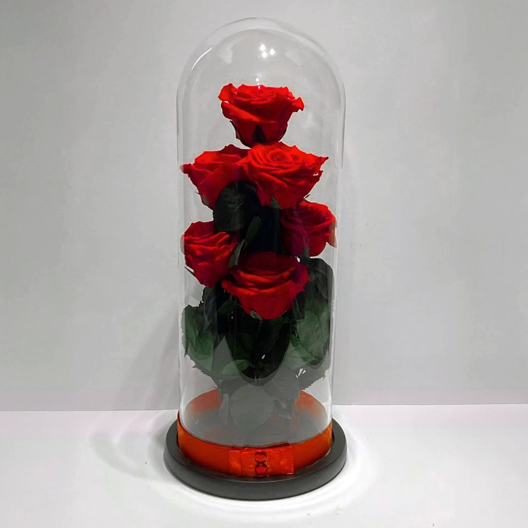 Hét örök rózsa üvegben