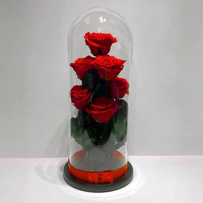 Hét örök rózsa üvegben