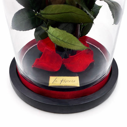 Hét óriás örökrózsa üvegben