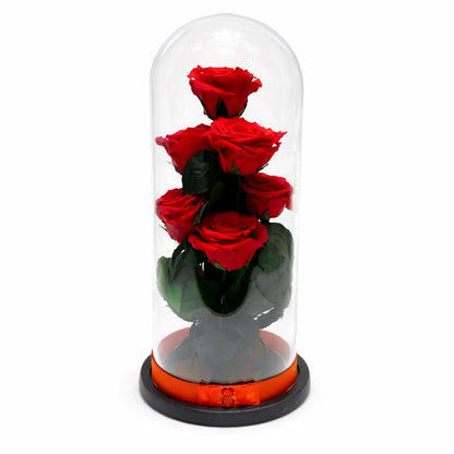 Örökózsa üvegburában