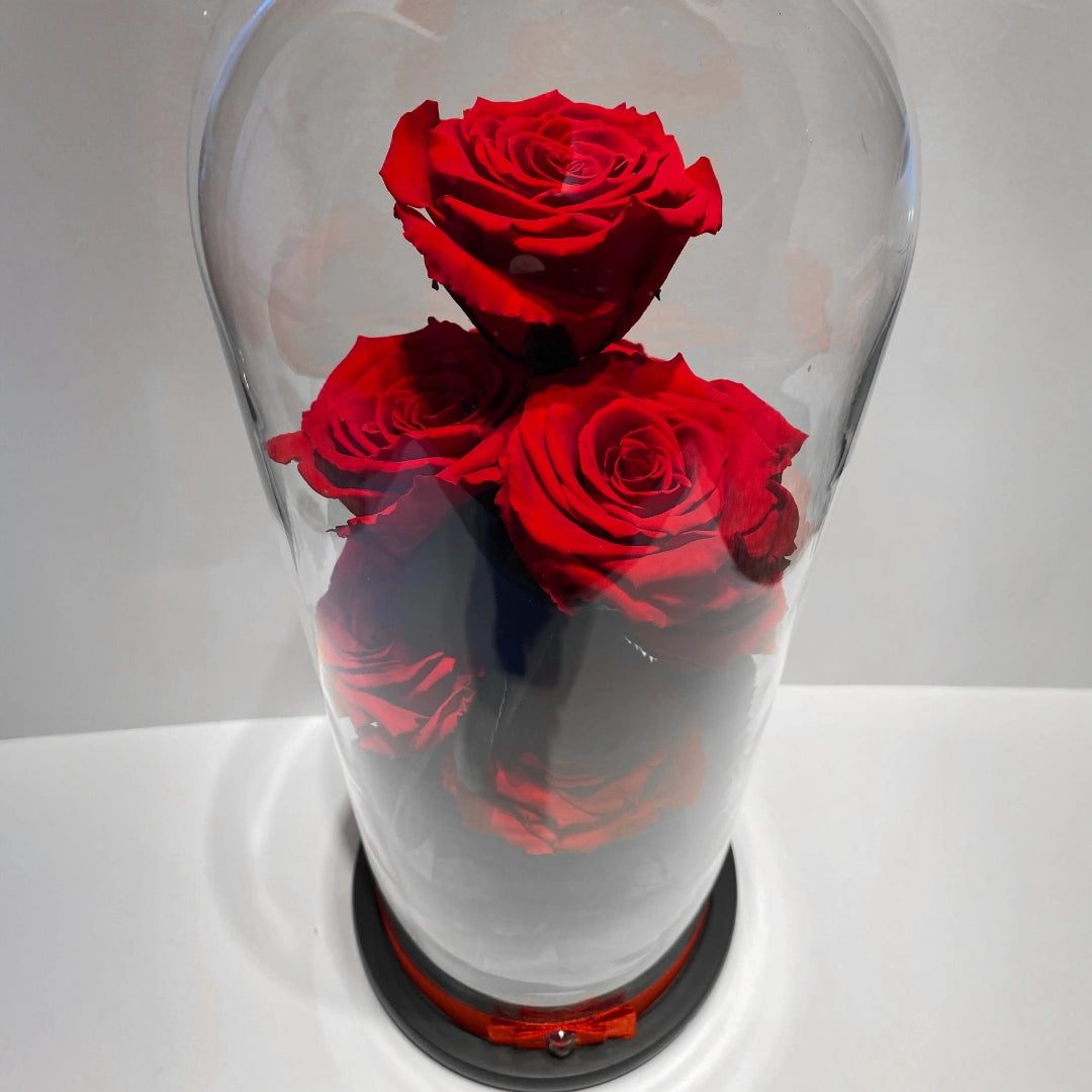 óriás örökrózsa burába zárva