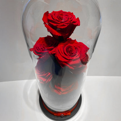 óriás örökrózsa burába zárva