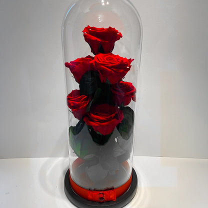 Örökózsa üvegburában