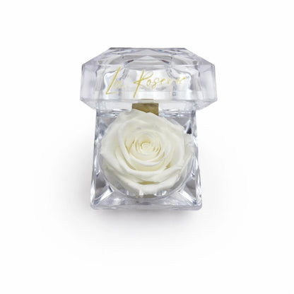 fehér illatos örök rózsa