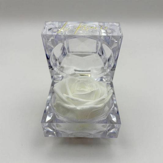 fehér illatos örök rózsa