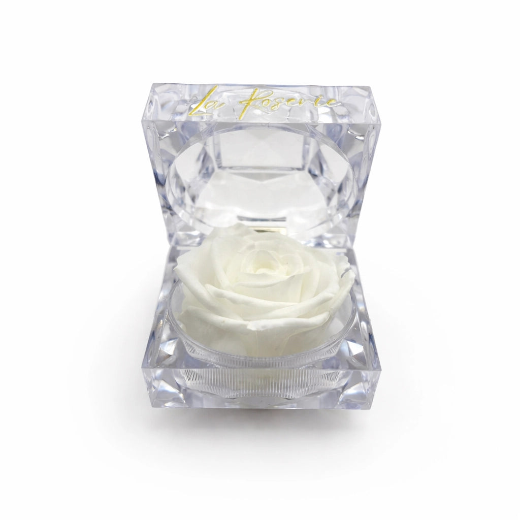 fehér illatos örök rózsa