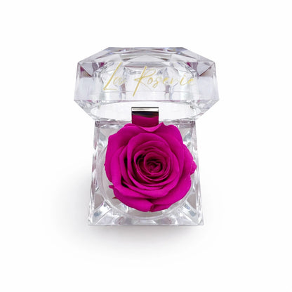 mini illatos pink örök rózsa 