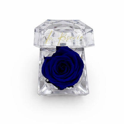 kék illatos örök rózsa