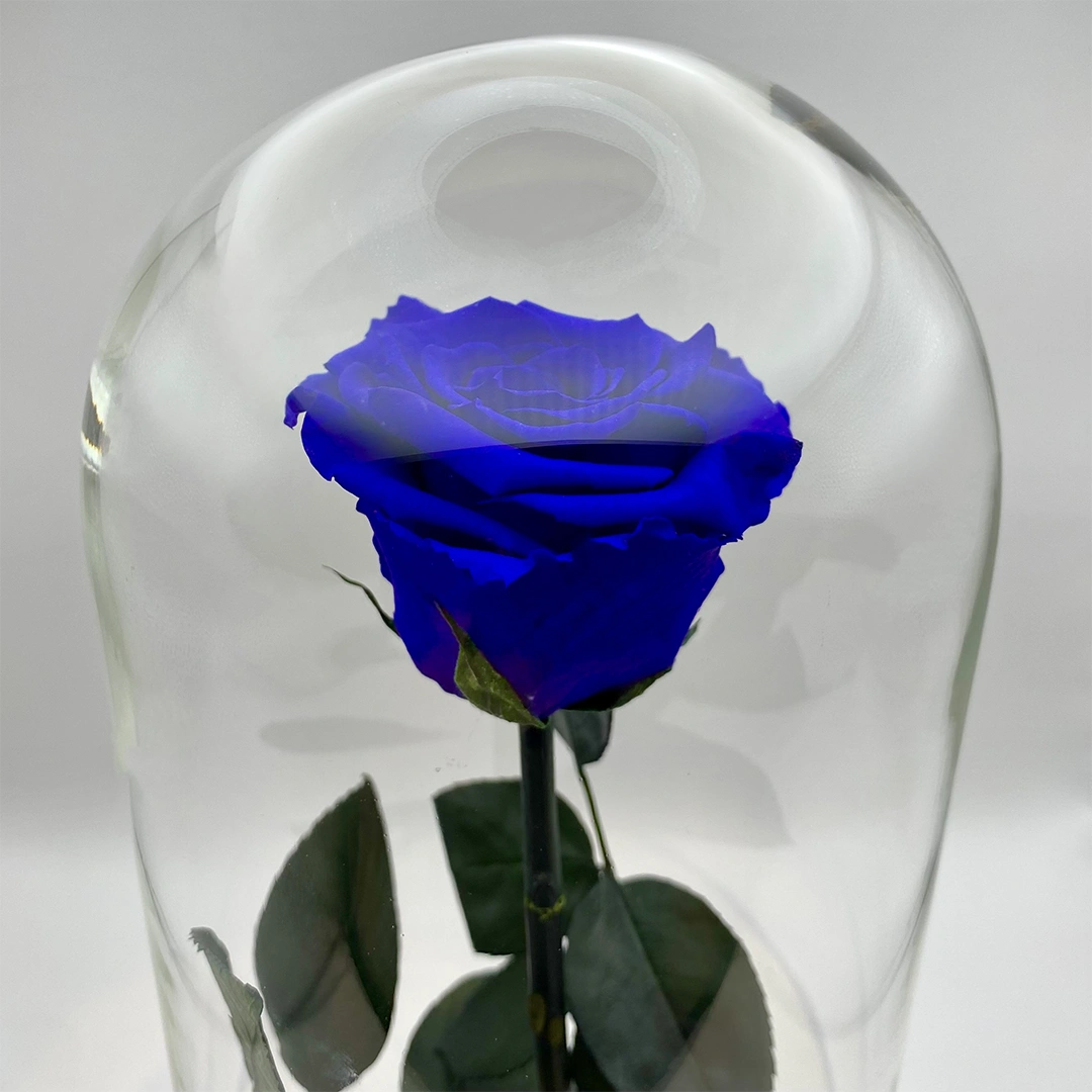 kék örökrózsa üvegben