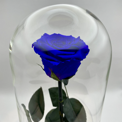 kék örökrózsa üvegben