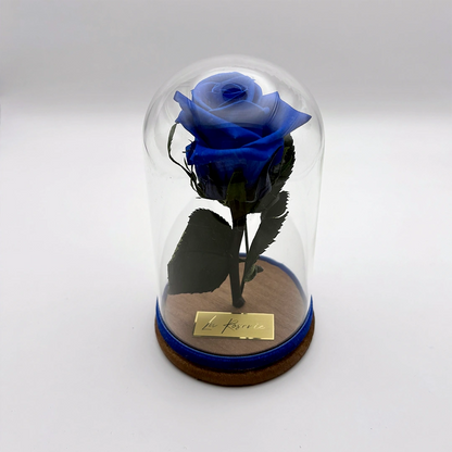 kék örökrózsa üvegben