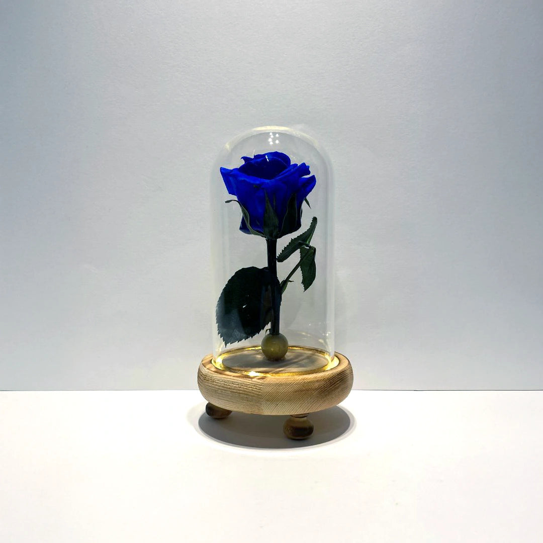 kék örök rózsa burában