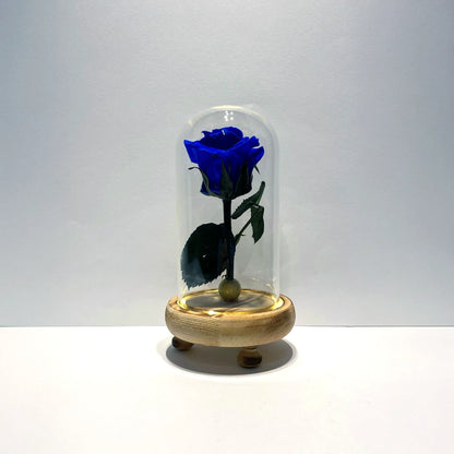 kék örök rózsa burában