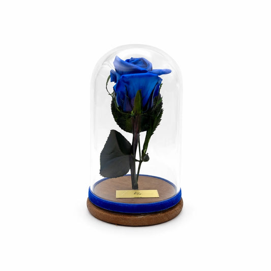 kék örökrózsa üvegben