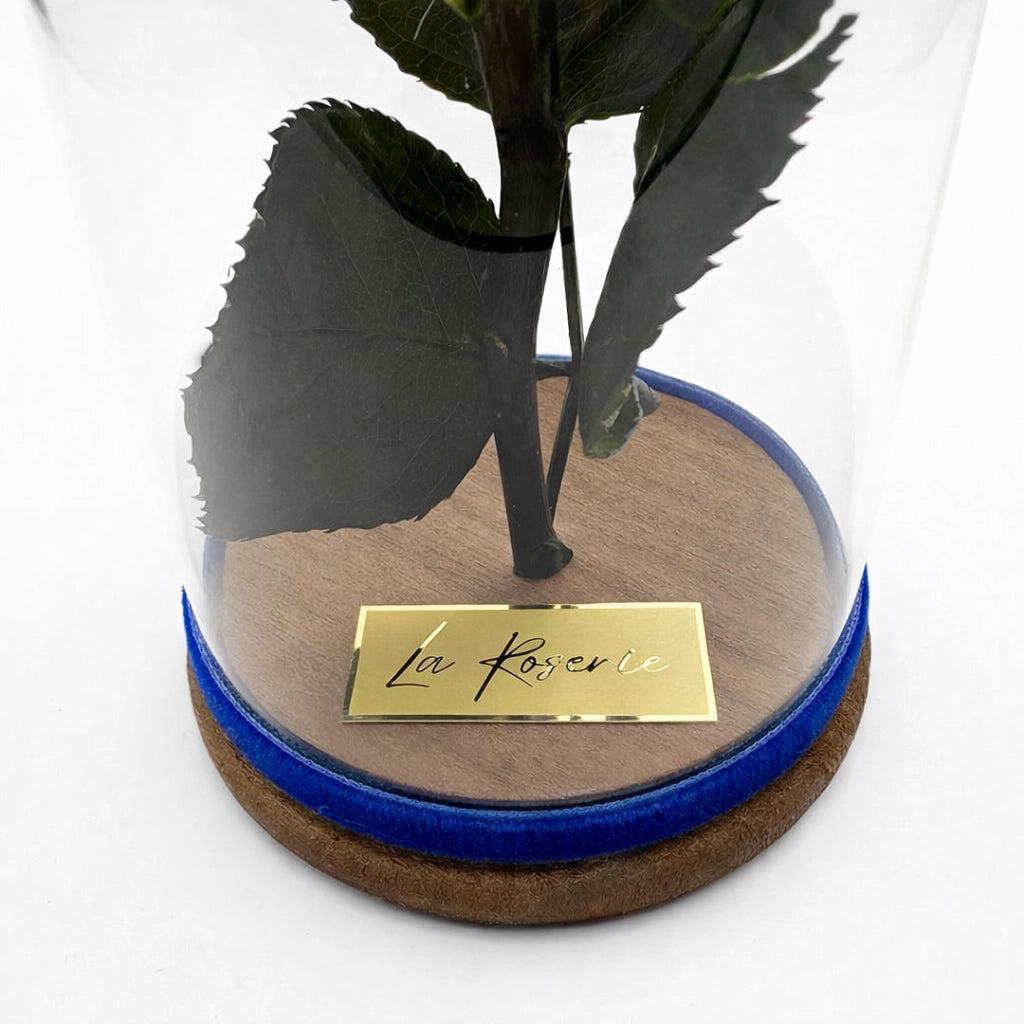 kék örökrózsa üvegben