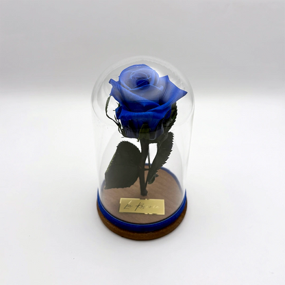 kék örökrózsa üvegben