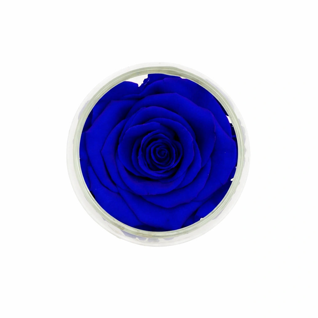 kék örökrózsa üvegben