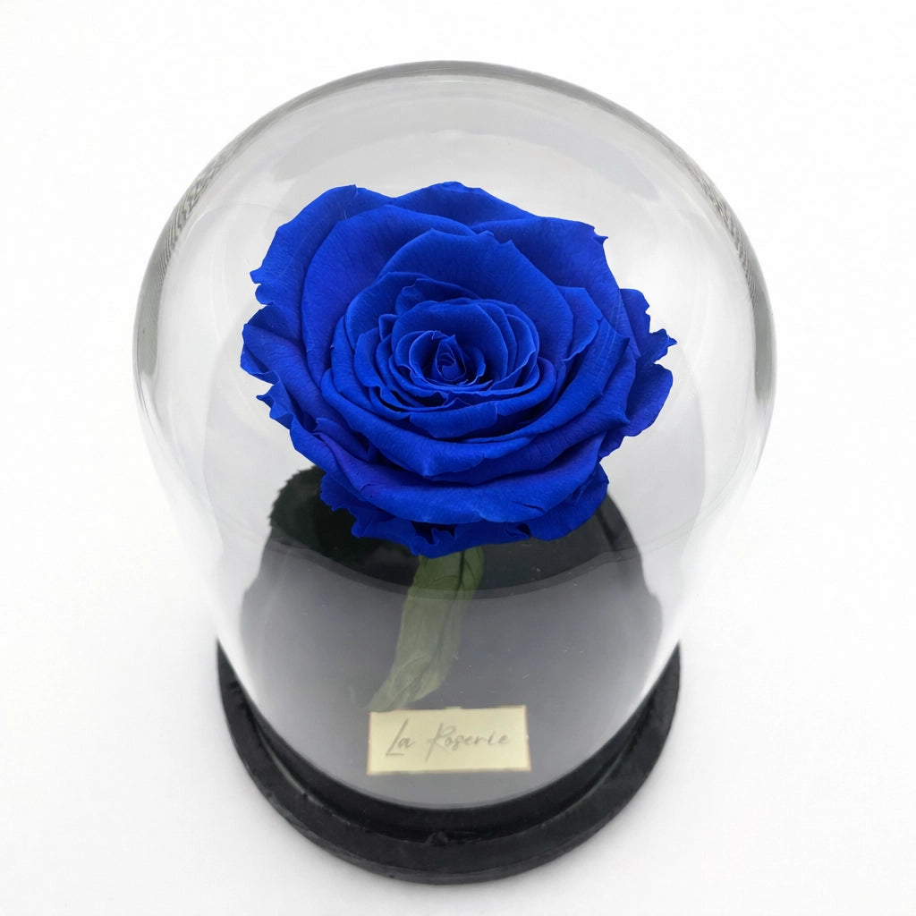 kék örökrózsa üvegbúrában